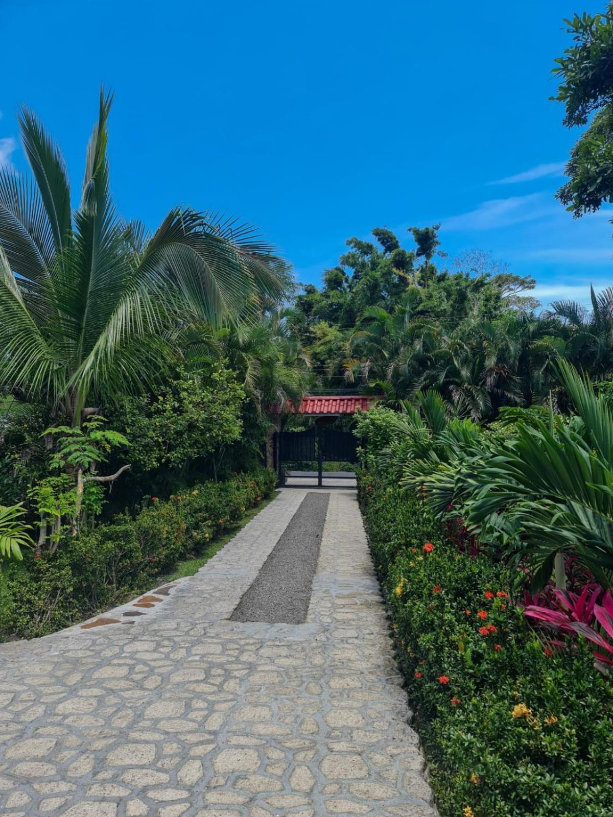 Cabana Villa Victoria El Valle de Anton Oda fotoğraf